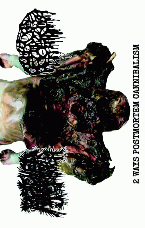 Botched Anastomosis J-Pouch : 2 Ways Postmortem Cannibalism